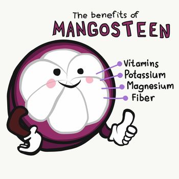 Benefits of mangosteen cute cartoon vector illustration