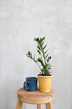 Composed flowerpot and mug