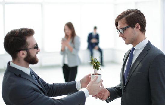 businessman gives his partner a young seedling