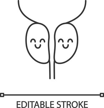 Smiling prostate gland linear icon