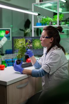 Chemist researcher analyzing organic sapling working at scientific experiment