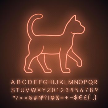 Witch cat neon light icon. Sorceress pet. Magic cat. Witchcraft and sorcery symbol. Glowing sign with alphabet, numbers. Vector isolated illustration