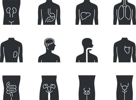 Healthy human organs glyph icons set. Throat and lungs in good health. Functioning heart. Wholesome liver. Internal body parts in good shape. Silhouette symbols. Vector isolated illustration
