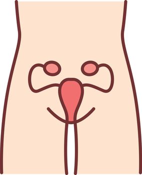 Healthy women reproductive system color icon. Human organ in good health. Fertility. Internal body part in good shape. Wholesome women health. Isolated vector illustration