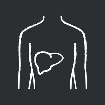 Healthy liver chalk icon. Human internal organ in good health. People wellness. Functioning digestive gland. Wholesome gastrointestinal tract. Isolated vector chalkboard illustration