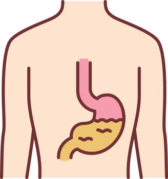 Healthy stomach color icon. Human organ in good health. People wellness. Functioning digestive system. Internal body part in good shape. Wholesome gastrointestinal tract. Isolated vector illustration
