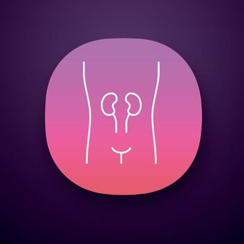 Healthy kidneys app icon. Human organ in good health. Internal body part in good shape. Wholesome urinary system. UI/UX user interface. Web or mobile application. Vector isolated illustration