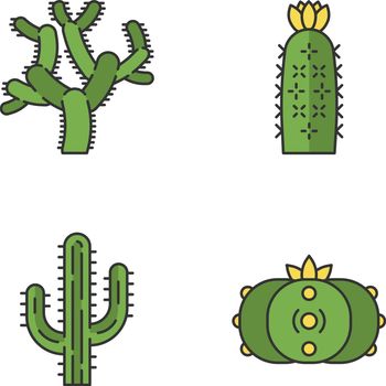 Wild cacti color icons set