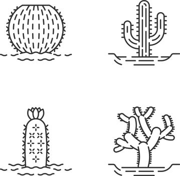 Wild cacti in land linear icons set