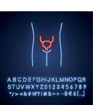Healthy urinary bladder neon light icon. Human organ in good health. Functioning urinary system. Wholesome urinary tract. Glowing sign with alphabet, numbers and symbols. Vector isolated illustration