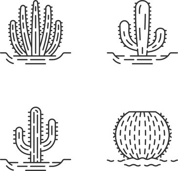 Wild cacti in ground linear icons set