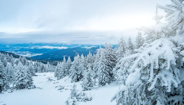 Picturesque winter landscape from mountain