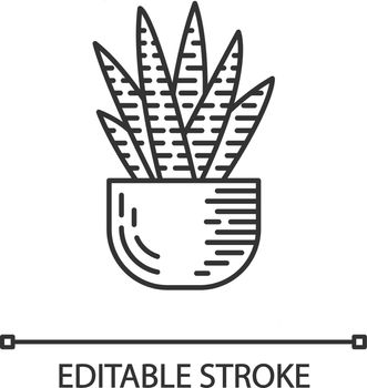 Zebra cactus in pot linear icon