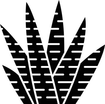 Zebra cactus glyph icon