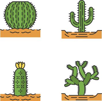 Wild cacti in land color icons set