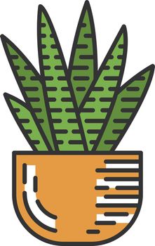 Zebra cactus in pot color icon