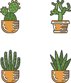 House cacti in pot color icons set