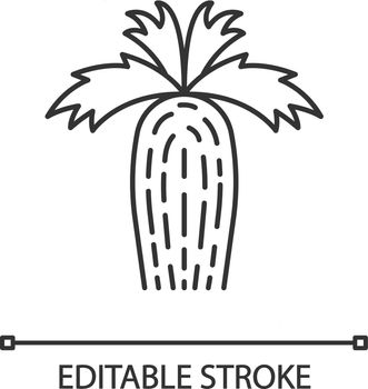 California fan palm linear icon