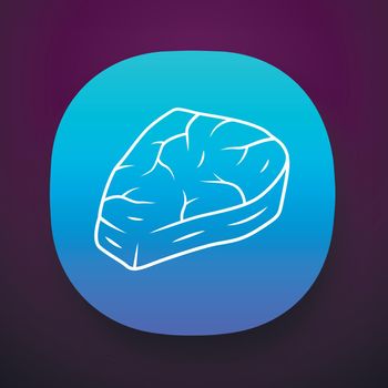 Meat steak app icon. Carnivore and high protein diet UI/UX user interface. Raw beef slice, roasted pork piece. Zero carb, animal product. Web or mobile application. Vector isolated illustration