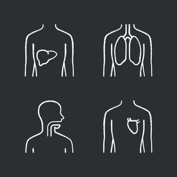 Healthy human organs chalk icons set. Liver and lungs in good health. Functioning heart. Wholesome throat. Internal body parts in good shape. Isolated vector chalkboard illustrations