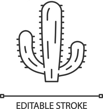 Mexican giant cactus linear icon