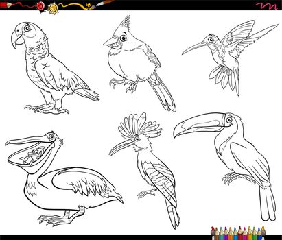 cartoon birds animal characters set coloring book page