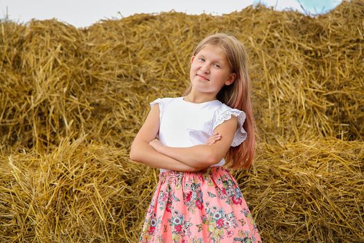 A model girl in a pink dress climbed on large bales of straw on a summer day