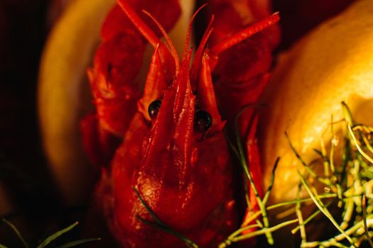Cooked red crawfish in close-up. Prepared lobster in close-up.