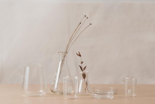 Glass flask with flowers on table in laboratory