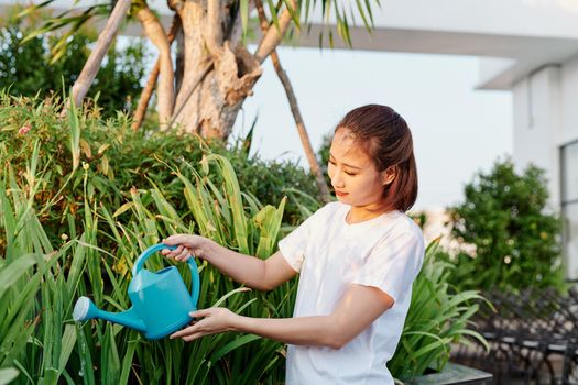 Young Asian woman in white tshirt watering plants in her garden.