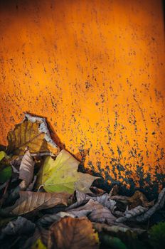 Closeup detail of many fallen dried seasonal decorative autumn leaves on the ground outside in various different natural colors against a rustic vibrant saturated orange wall in warm sunlight, with copy-space