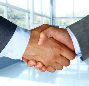 Closeup of a business hand shake between two colleagues