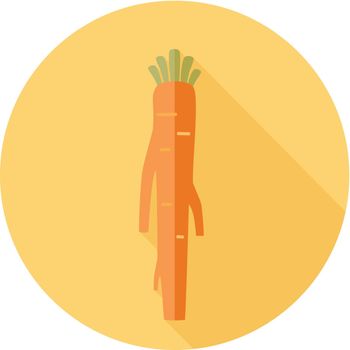 Horseradish flat icon. Vegetable root vector