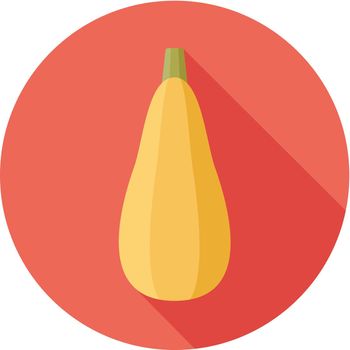 Zucchini flat icon. Vegetable vector