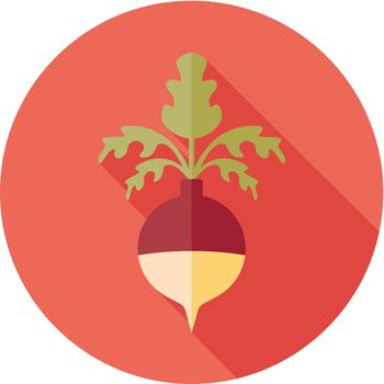 Rutabaga or Swede flat icon. Vegetable root vector