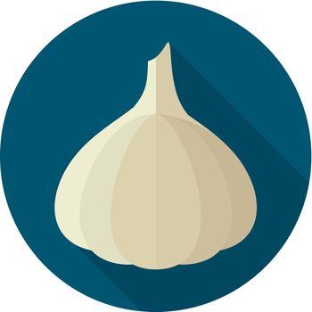 Garlic flat icon with long shadow
