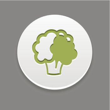 Cauliflower icon. Vegetable vector illustration