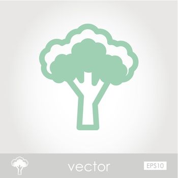 Broccoli outline icon. Vegetable vector