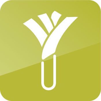 Leek outline icon. Vegetable vector