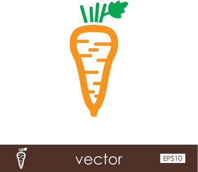 Parsnip root outline icon. Vegetable vector