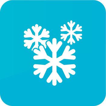Snowflake Snow icon. Meteorology. Weather
