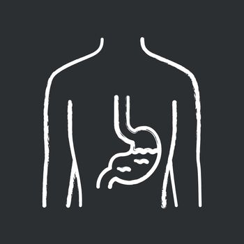 Healthy stomach chalk icon. Human internal organ in good health. People wellness. Functioning digestive system. Wholesome gastrointestinal tract. Isolated vector chalkboard illustration
