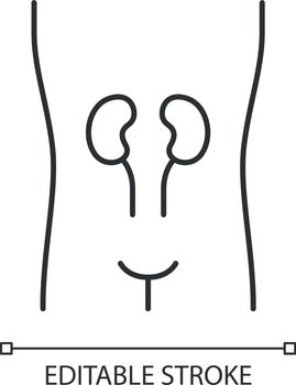 Healthy kidneys linear icon. Human organ in good health. Wholesome urinary system. Thin line illustration. Contour symbol. Vector isolated outline drawing. Editable stroke