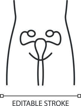 Healthy women reproductive system linear icon. Human organ in good health. Fertility. Wholesome women health. Thin line illustration. Contour symbol. Vector isolated outline drawing. Editable stroke