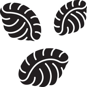 Shells pasta glyph icon