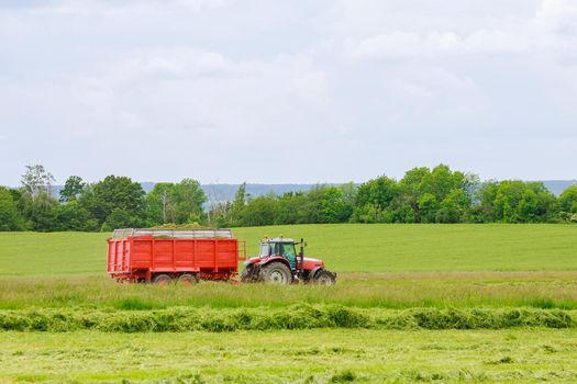 Haymaking. The harvester collects freshly cut grass into a tractor trailer.