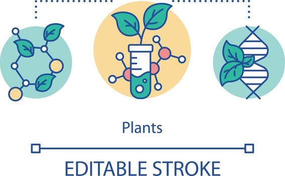 Plants concept icon. Artificial selection of signs. Breeding new varieties. Genetic engineering. Biotechnology idea thin line illustration. Vector isolated outline drawing. Editable stroke