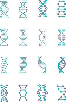 DNA helix violet and turquoise color icons set. Deoxyribonucleic, nucleic acid structure. Spiraling strand. Chromosome. Molecular biology. Genetic code. Genome. Genetics. Isolated vector illustrations