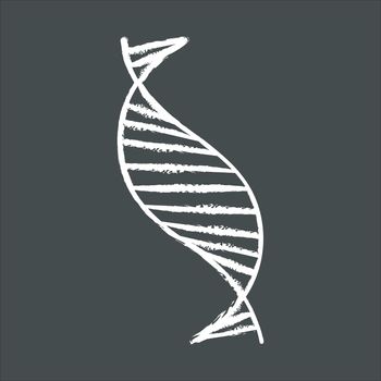 DNA spiral strand chalk icon. Deoxyribonucleic, nucleic acid helix stripes. Chromosome. Molecular biology. Genetic code. Genome. Genetics. Medicine. Isolated vector chalkboard illustration
