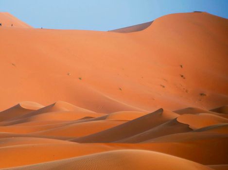 Scenic  sand dunes in Sahara Desert